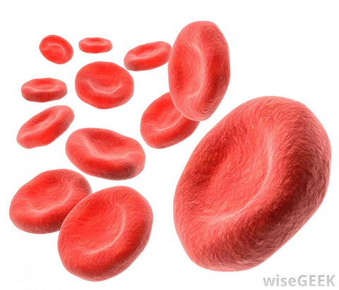 Diabetes Risk Test