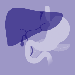 Liver function