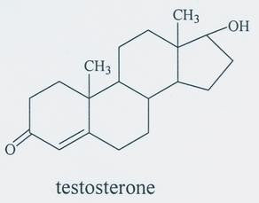 Testosterone